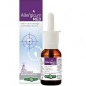 ALLERGICUM MED SPRAY NASALE 30ML