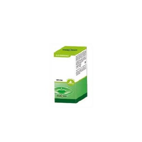 ZENZERO OE 10ML