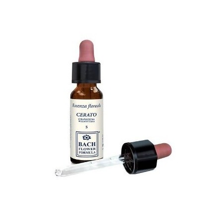 CERATO ORIGINAL 10ML GTT