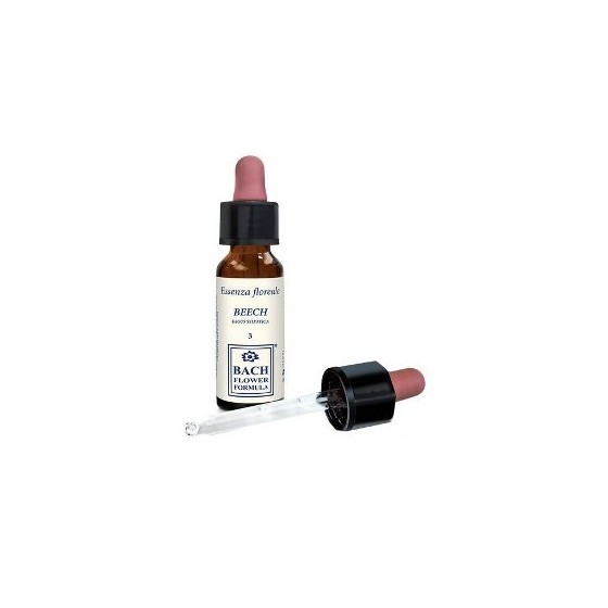 BEECH ORIGINAL 10ML GTT