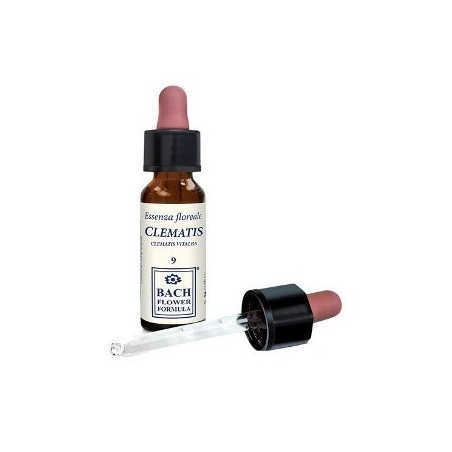 CLEMATIS ORIGINAL 10ML GTT