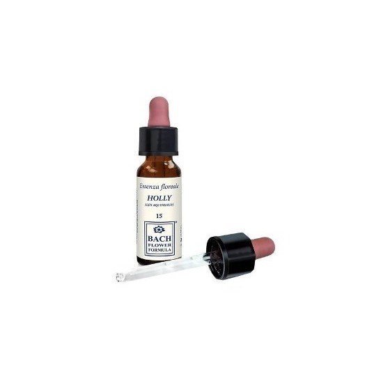 HOLLY ORIGINAL 10ML GTT