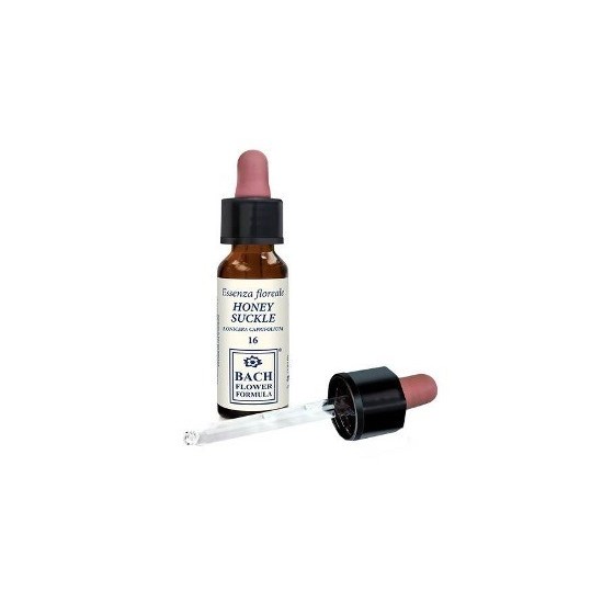 HONEYSUCKLE ORIGINAL 10ML GTT