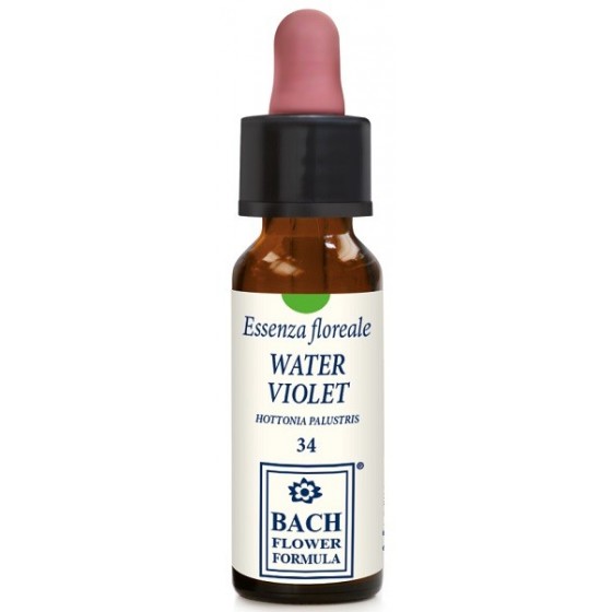 WATER VIOLET ORIGINAL 10ML GTT