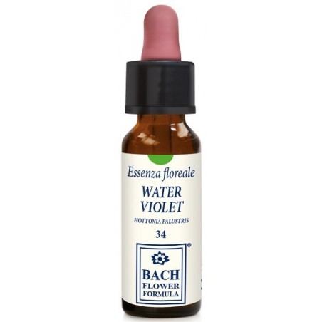 WATER VIOLET ORIGINAL 10ML GTT