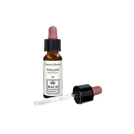 WILLOW ORIGINAL 10ML GTT