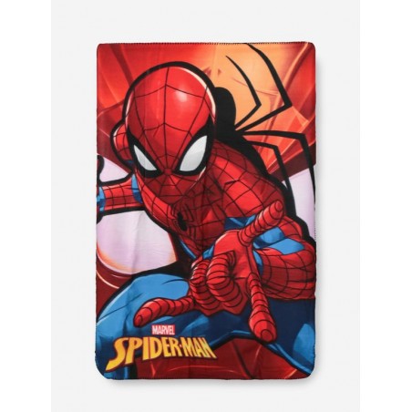 PLAID SPIDERMAN