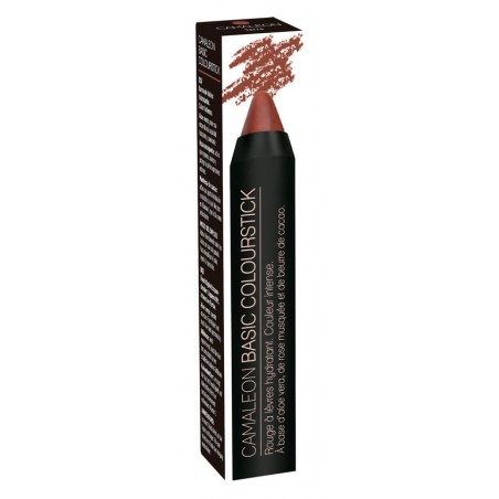 CAMALEON BASIC COLOURSTICK TERRA
